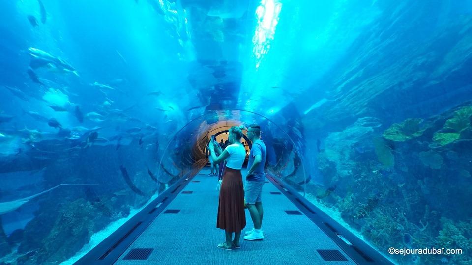 Dubaï aquarium & underwater zoo