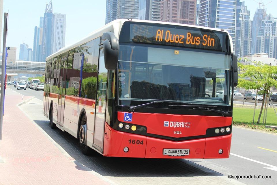 Dubai bus